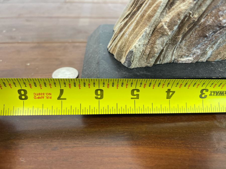 Petrified Wood Sculpture On Wooden Stand 6.5W X 4D X 10.5H [Photo 12]