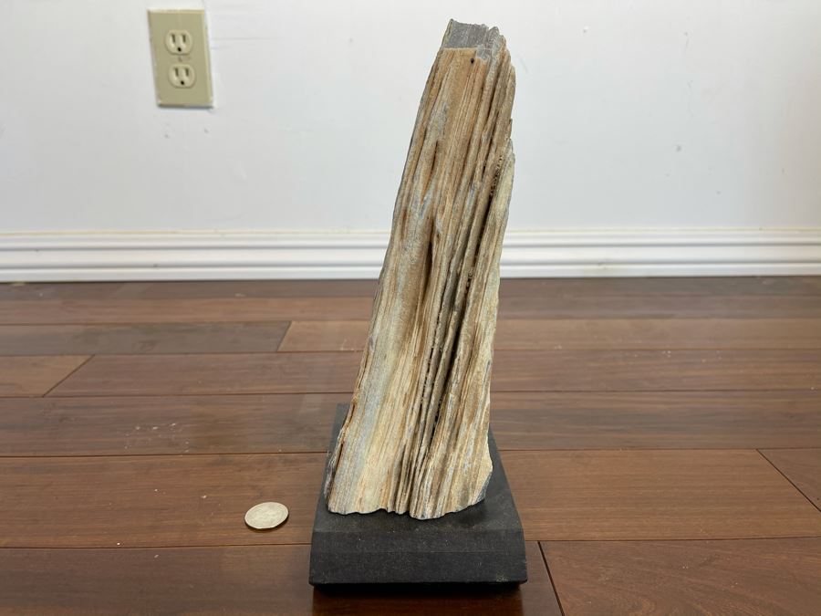 Petrified Wood Sculpture On Wooden Stand 6.5W X 4D X 10.5H [Photo 7]
