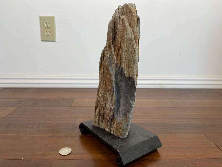 Petrified Wood Sculpture On Wooden Stand 6.5W X 4D X 10.5H [Photo 5]