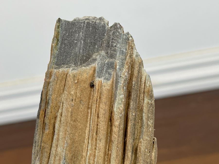 Petrified Wood Sculpture On Wooden Stand 6.5W X 4D X 10.5H [Photo 9]