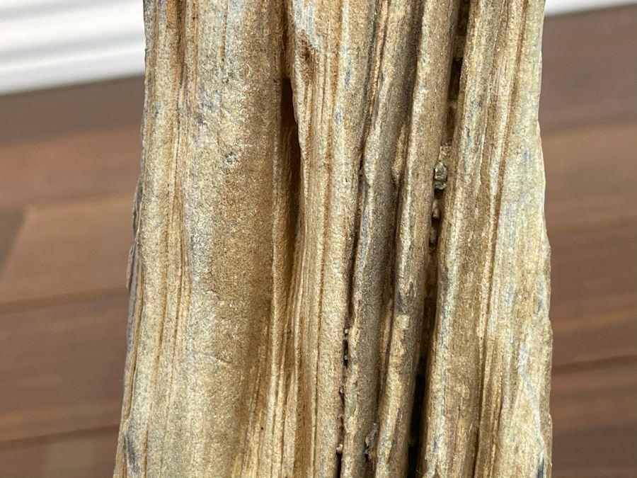 Petrified Wood Sculpture On Wooden Stand 6.5W X 4D X 10.5H [Photo 8]