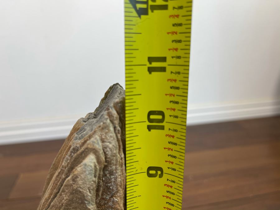 Petrified Wood Sculpture On Wooden Stand 6.5W X 4D X 10.5H [Photo 14]