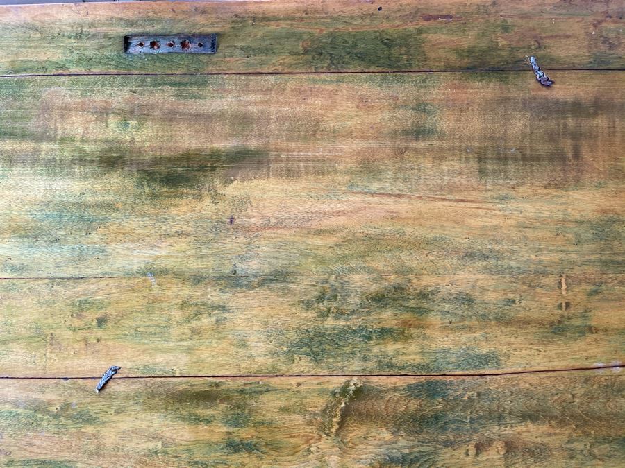 Antique Carved Wooden European Trunk Chest 'Welcome The Coming, Speed The Parting Gvest' 42W X 18D X 17H [Photo 25]