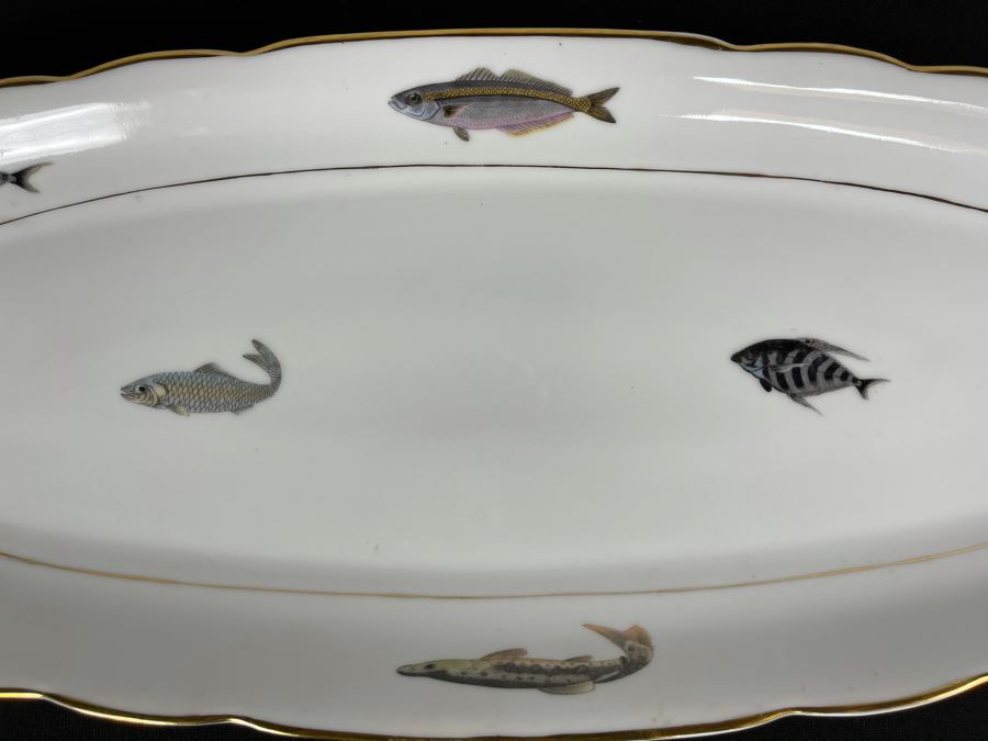 Porcelain Fish Platter Oval Plate 25 X 9 [Photo 6]