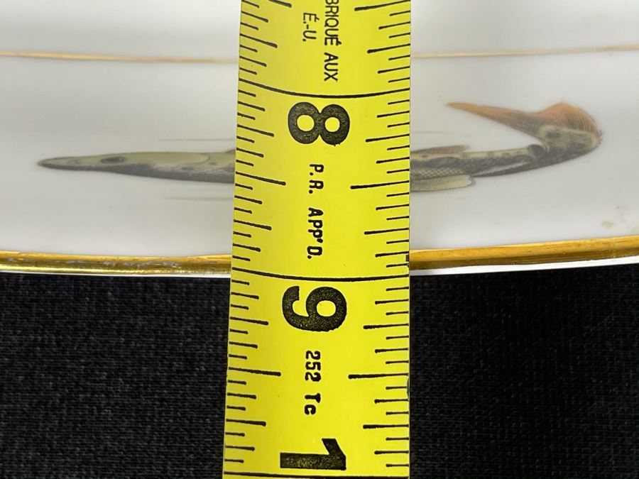 Porcelain Fish Platter Oval Plate 25 X 9 [Photo 12]