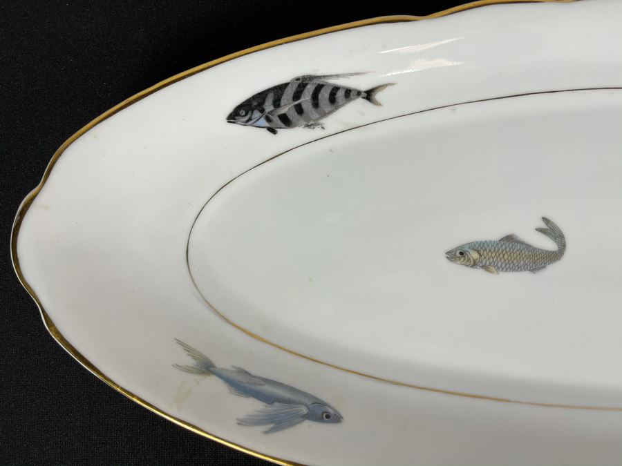 Porcelain Fish Platter Oval Plate 25 X 9 [Photo 5]