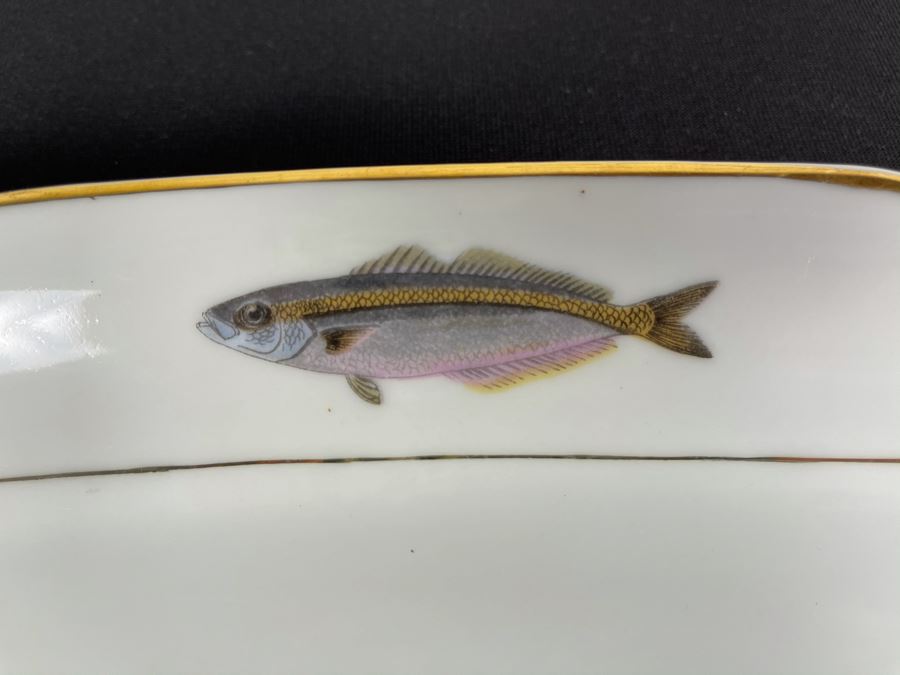 Porcelain Fish Platter Oval Plate 25 X 9 [Photo 7]