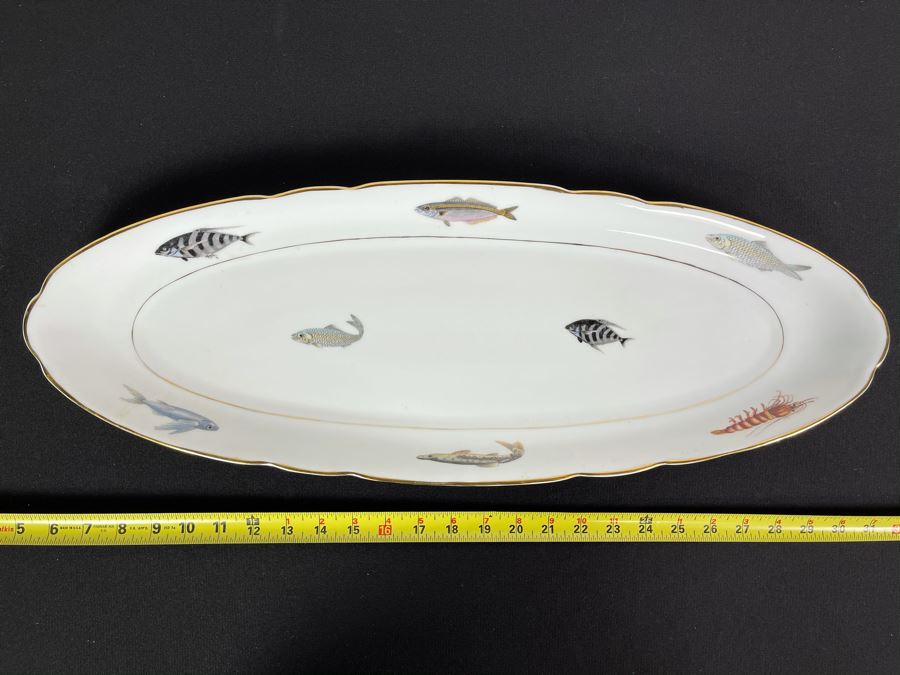 Porcelain Fish Platter Oval Plate 25 X 9 [Photo 1]