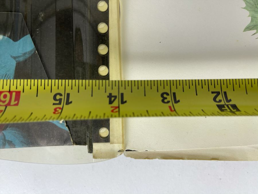 JUST ADDED - The Audubon Folio Set Of 24 Great Bird Paintings Large Prints Each 14W X 17H - See Photos [Photo 9]