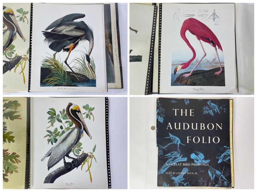JUST ADDED - The Audubon Folio Set Of 24 Great Bird Paintings Large Prints Each 14W X 17H - See Photos [Photo 1]