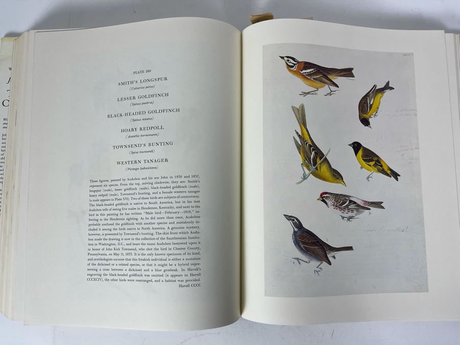 JUST ADDED - The Birds Of America By John James Audubon Book 431 Exact Reproductions In Full Color 1985 Edition [Photo 11]