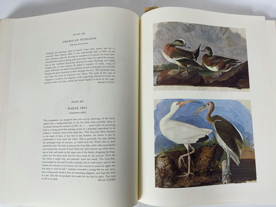 JUST ADDED - The Birds Of America By John James Audubon Book 431 Exact Reproductions In Full Color 1985 Edition [Photo 15]