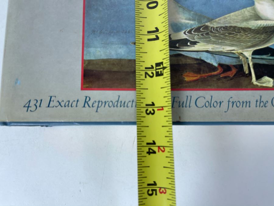 JUST ADDED - The Birds Of America By John James Audubon Book 431 Exact Reproductions In Full Color 1985 Edition [Photo 17]