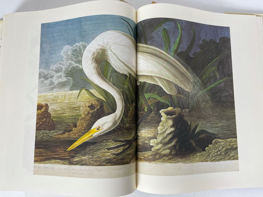 JUST ADDED - The Birds Of America By John James Audubon Book 431 Exact Reproductions In Full Color 1985 Edition [Photo 13]