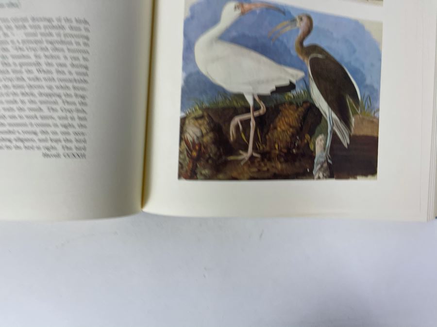 JUST ADDED - The Birds Of America By John James Audubon Book 431 Exact Reproductions In Full Color 1985 Edition [Photo 16]