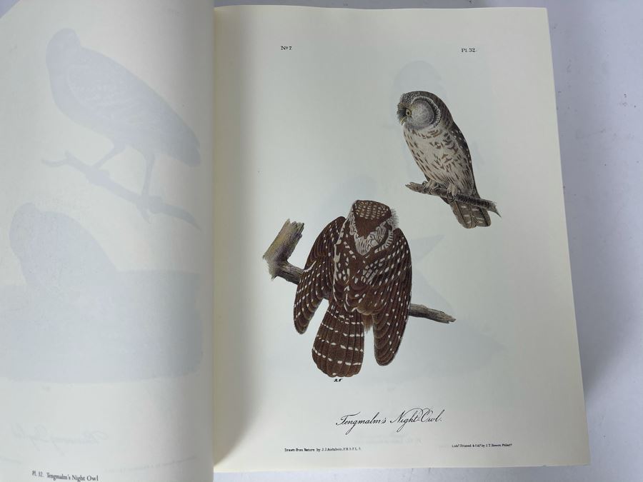 JUST ADDED - Audubon's Birds Of America - Containing All Of The Original Plates Reprinted From The First Royal Octavo Edition 1994 [Photo 6]