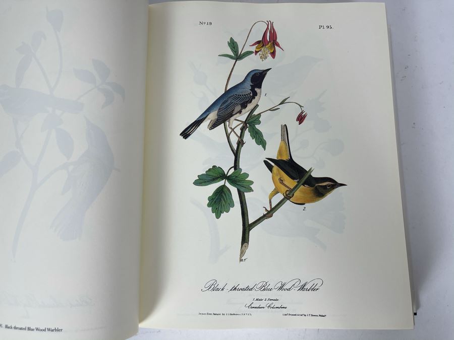 JUST ADDED - Audubon's Birds Of America - Containing All Of The Original Plates Reprinted From The First Royal Octavo Edition 1994 [Photo 7]