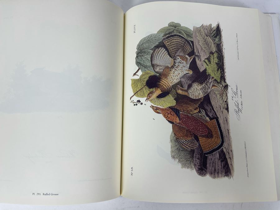 JUST ADDED - Audubon's Birds Of America - Containing All Of The Original Plates Reprinted From The First Royal Octavo Edition 1994 [Photo 8]