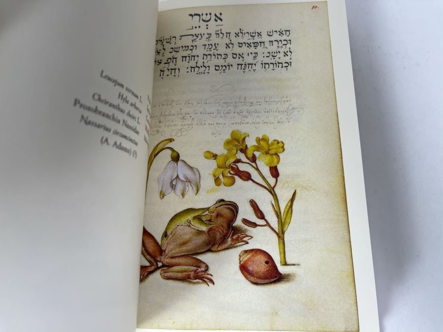 JUST ADDED - Mira Calligraphiae Monumenta Book [Photo 9]