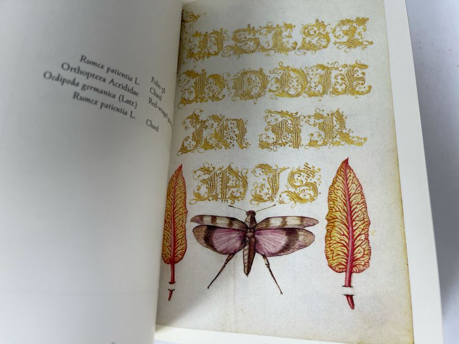 JUST ADDED - Mira Calligraphiae Monumenta Book [Photo 11]