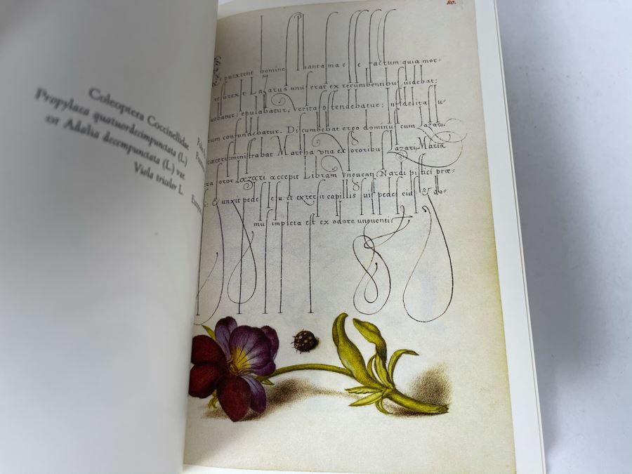 JUST ADDED - Mira Calligraphiae Monumenta Book [Photo 8]