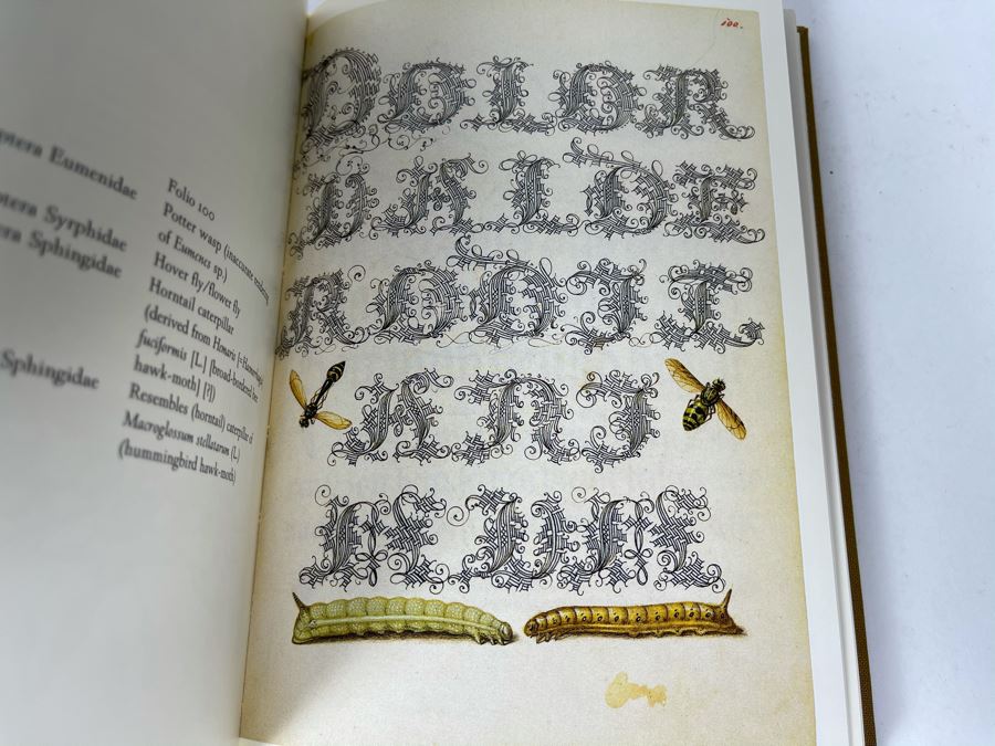 JUST ADDED - Mira Calligraphiae Monumenta Book [Photo 6]