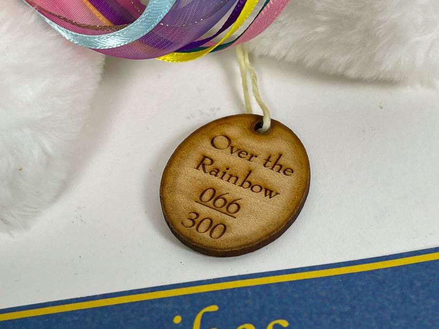Limited Edition Robert Raikes Individually Carved Wooden Bear Over The Rainbow 66 Of 300 7L [Photo 5]