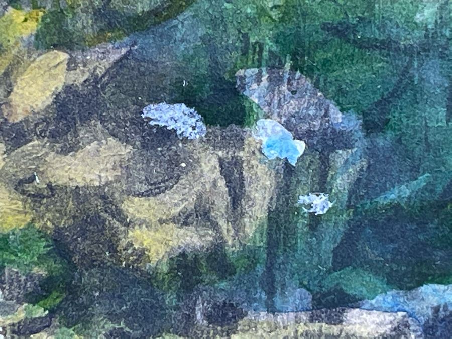 Original Signed R. F. Mcintyre Painting Titled 'The Path Across The Common Morning' In Vintage Frame 12 X 20 [Photo 11]