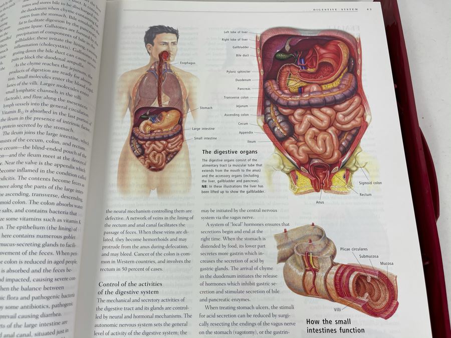 JUST ADDED - Large Reference Book: Anatomica: The Complete Home Medical Reference [Photo 12]