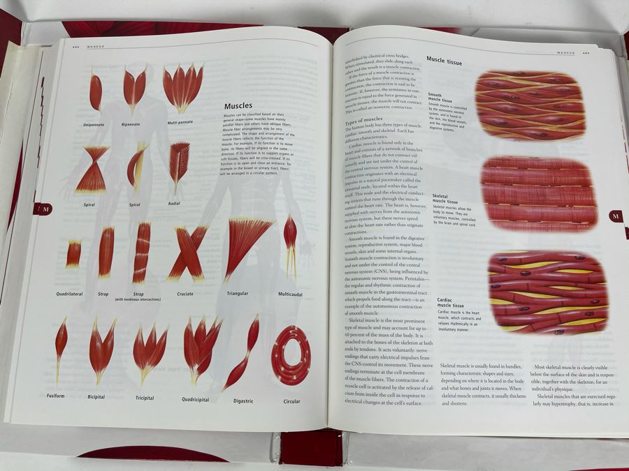 JUST ADDED - Large Reference Book: Anatomica: The Complete Home Medical Reference [Photo 13]
