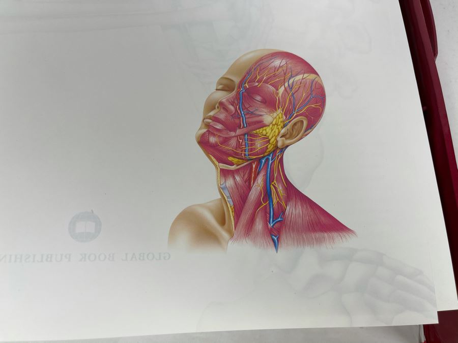 JUST ADDED - Large Reference Book: Anatomica: The Complete Home Medical Reference [Photo 7]