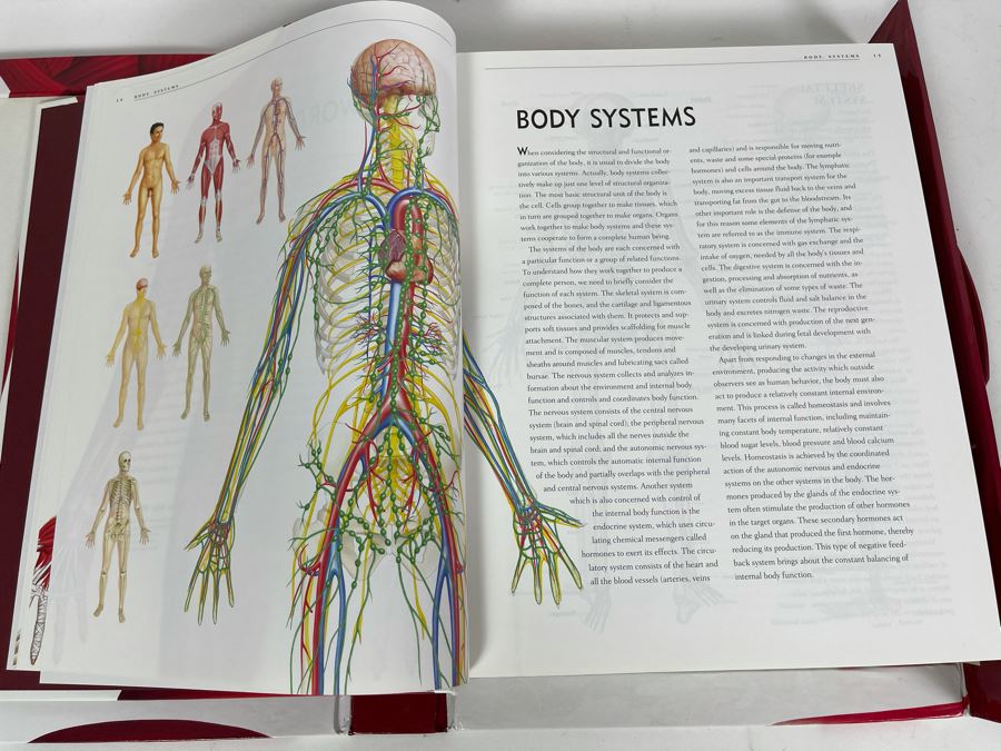 JUST ADDED - Large Reference Book: Anatomica: The Complete Home Medical Reference [Photo 11]