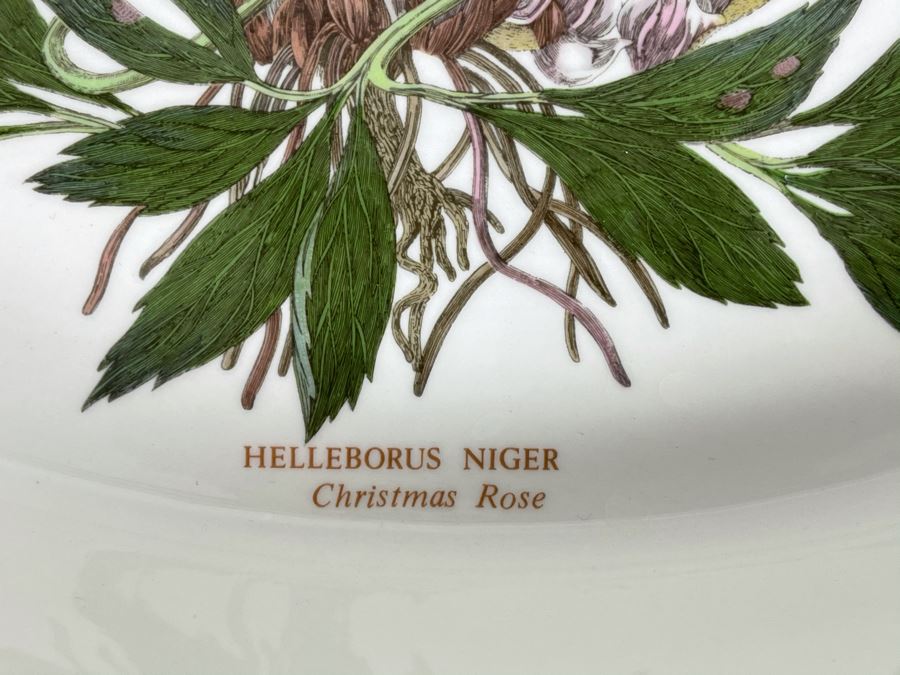 JUST ADDED - The Susan Williams-Ellis Botanic Garden Christmas Rose Oval Platter 14W X 9W [Photo 3]