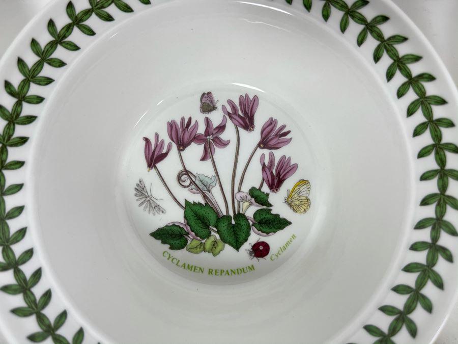 JUST ADDED - Eleven Susan Williams-Ellis Botanic Garden Portmeirion Bowls 6.5R [Photo 6]
