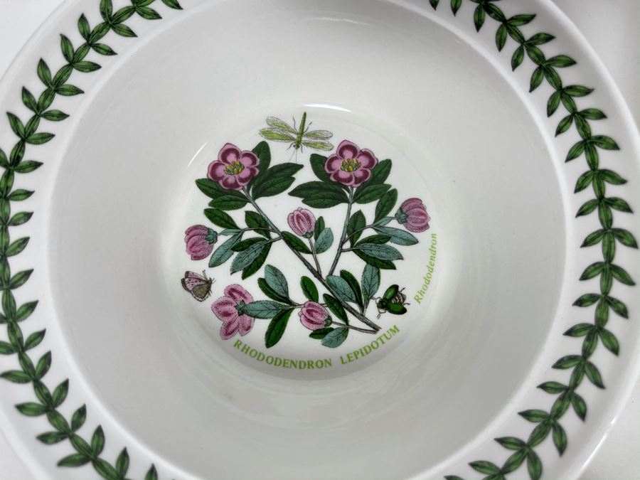 JUST ADDED - Eleven Susan Williams-Ellis Botanic Garden Portmeirion Bowls 6.5R [Photo 5]