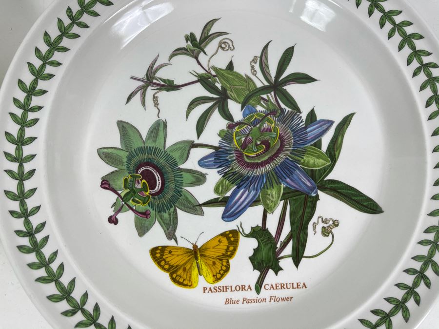JUST ADDED - Eight Susan Williams-Ellis Botanic Garden Portmeirion Dinner Plates (There Are Duplicates Of Some Plates) 10.5R [Photo 6]