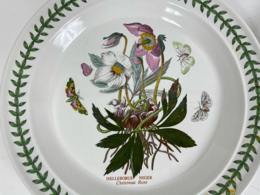 JUST ADDED - Five Susan Williams-Ellis Botanic Garden Portmeirion Dinner Plates (Duplicates Of Venus's Fly Trap) 10.5R [Photo 3]