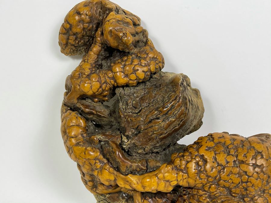 Organic Burl Wood Natural Wall Sculpture 15W X 10H [Photo 5]
