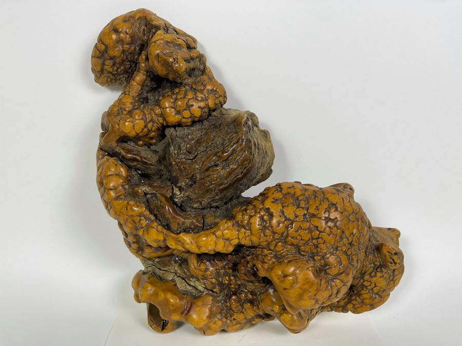 Organic Burl Wood Natural Wall Sculpture 15W X 10H [Photo 3]