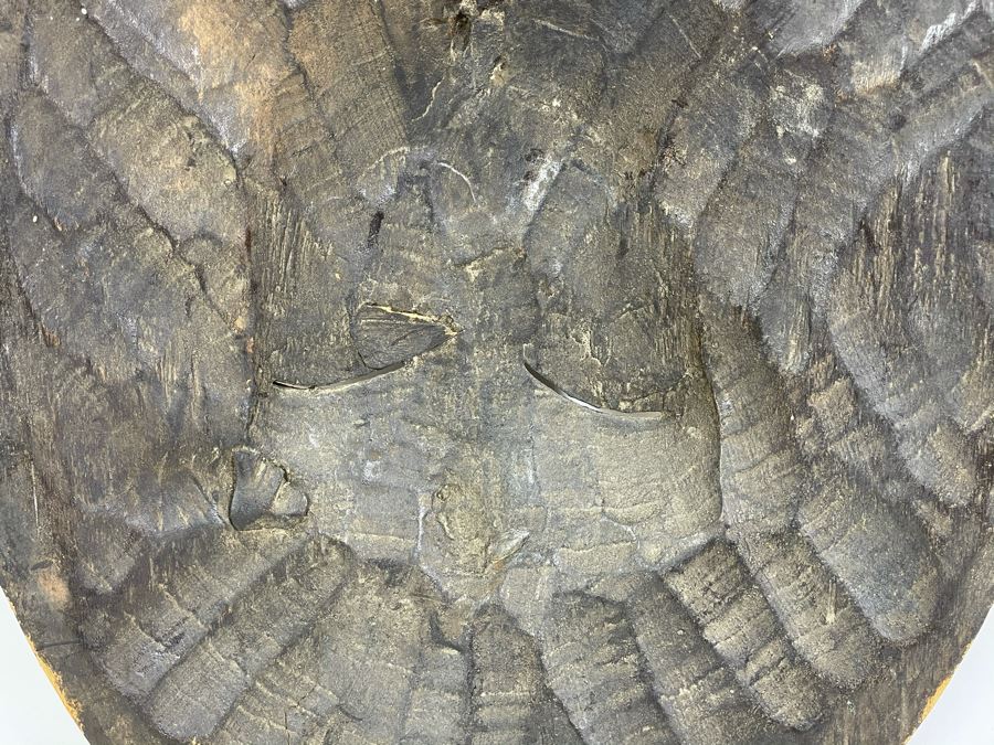 Hand Carved Wooden Ethnic African Mask 12W X 14H [Photo 10]