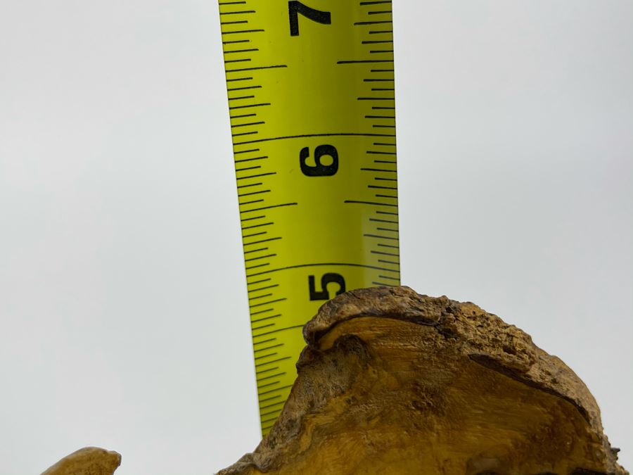 Signed Artisan Black Acacia Bowl By Nan Bushley 7W X 5H [Photo 11]