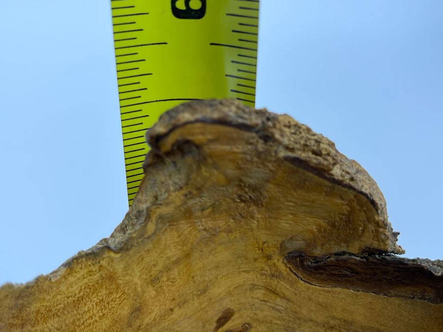 Signed Artisan Black Acacia Bowl By Nan Bushley 7W X 5H [Photo 10]