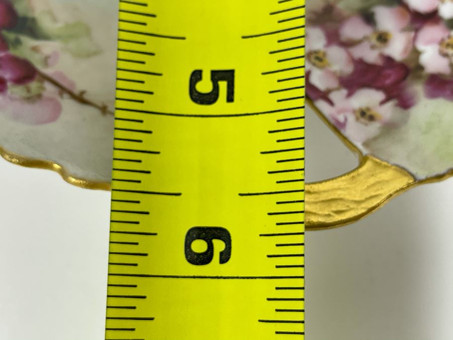 Antique O&EG Royal Austria Handpainted Dish [Photo 9]