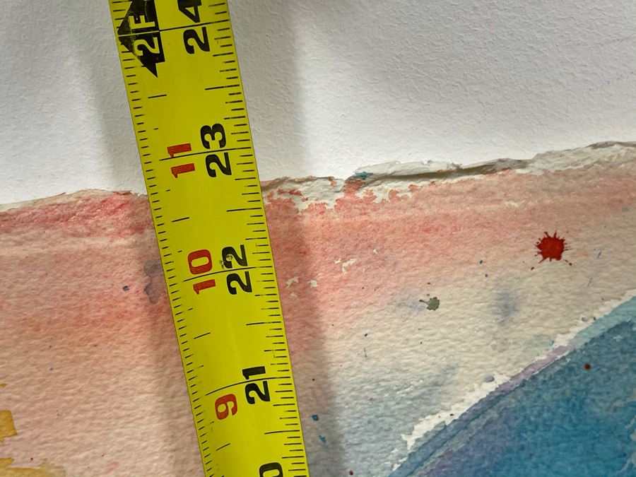 Original Joan Lohrey Butterflies Watercolor Painting On Paper Unsigned 29 X 22 [Photo 10]