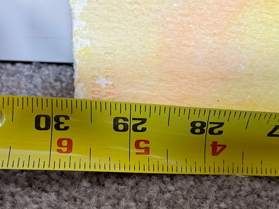 Original Joan Lohrey Butterflies Watercolor Painting On Paper Unsigned 29 X 22 [Photo 9]