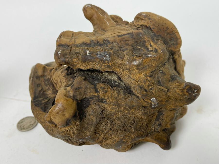 Pair Of Organic Burl Wood Sculptures [Photo 13]