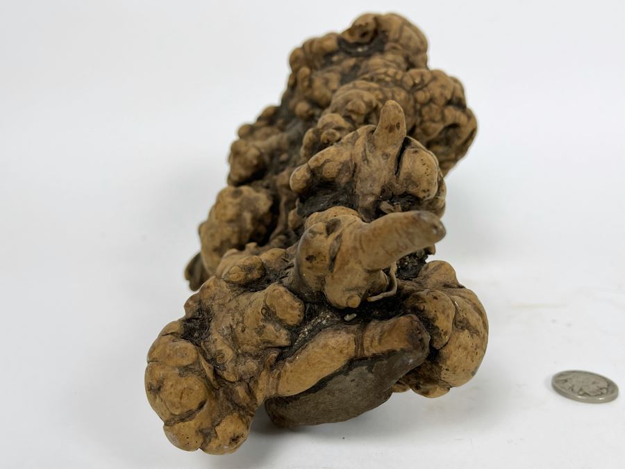 Organic Burl Wood Sculpture [Photo 7]