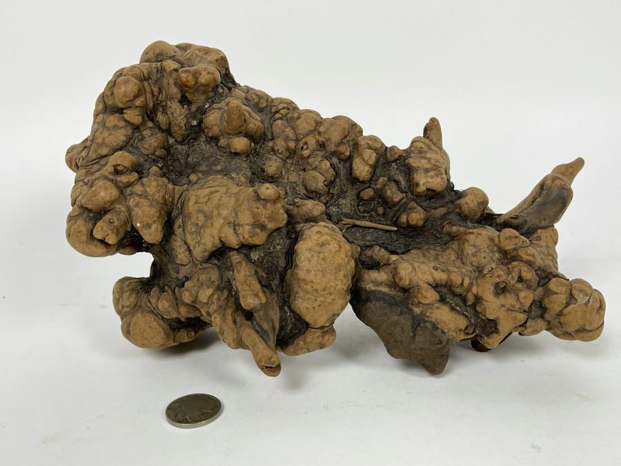 Organic Burl Wood Sculpture [Photo 5]