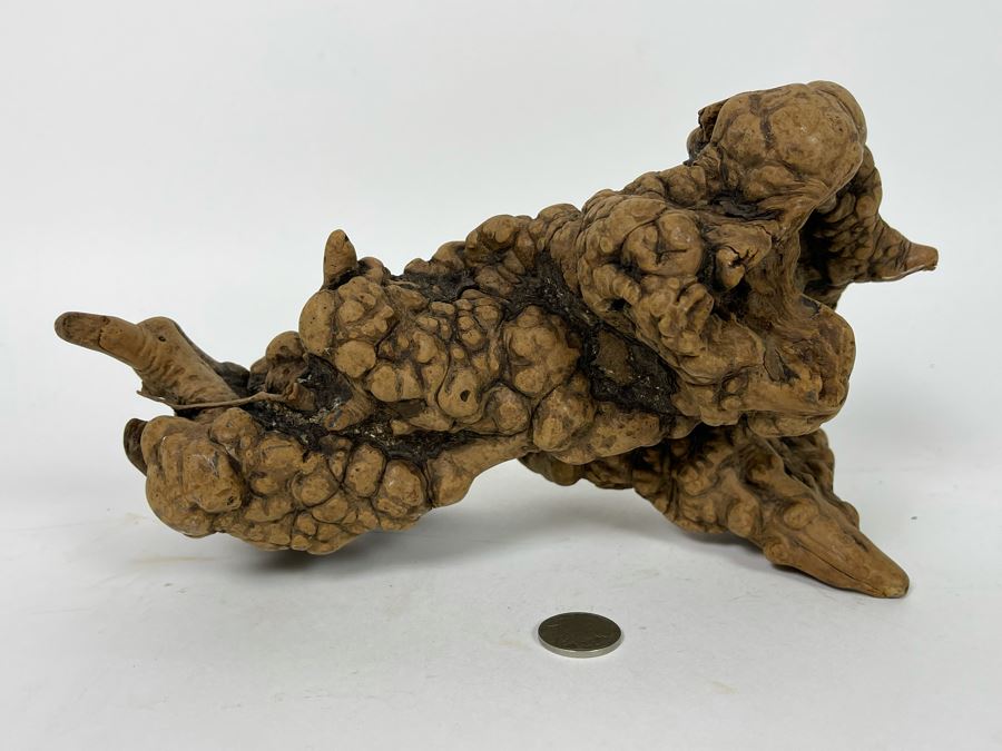 Organic Burl Wood Sculpture [Photo 2]