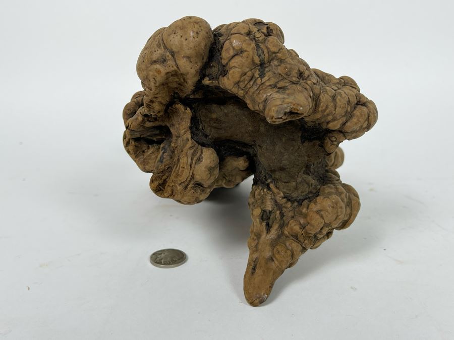 Organic Burl Wood Sculpture [Photo 4]
